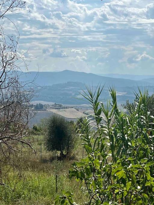 Windrose Blue Blossom Volterra Exterior photo